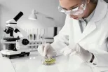 Визировочные лаборатории